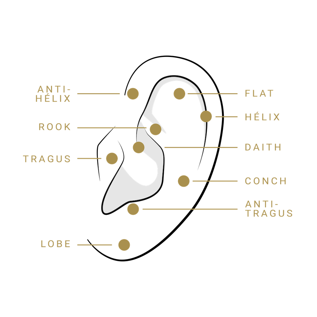 Liste des emplacements piercings oreilles